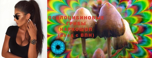 мдпв Приозерск