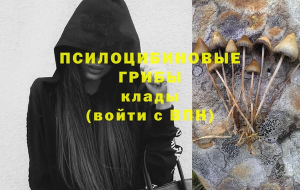 мдпв Покровск