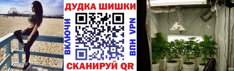 Бошки марихуана семена  наркота  Тбилисская 